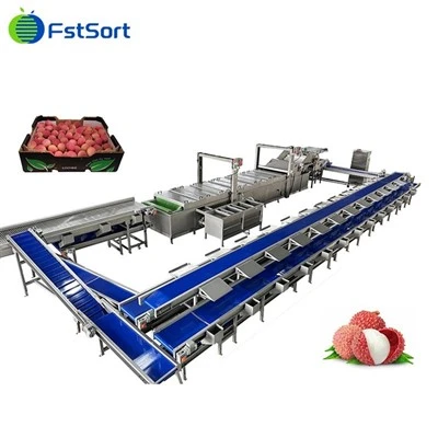 Machine de conditionnement de nettoyage de litchi